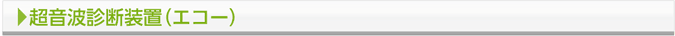 超音波診断装置（エコー）
