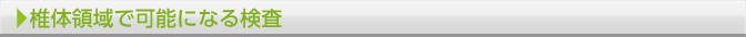 椎体領域で可能になる検査