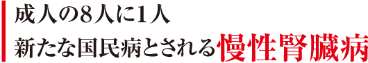 成人の８人に１人　新たな国民病とされる慢性腎臓病