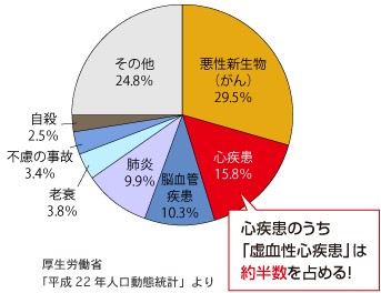 死亡数の割合